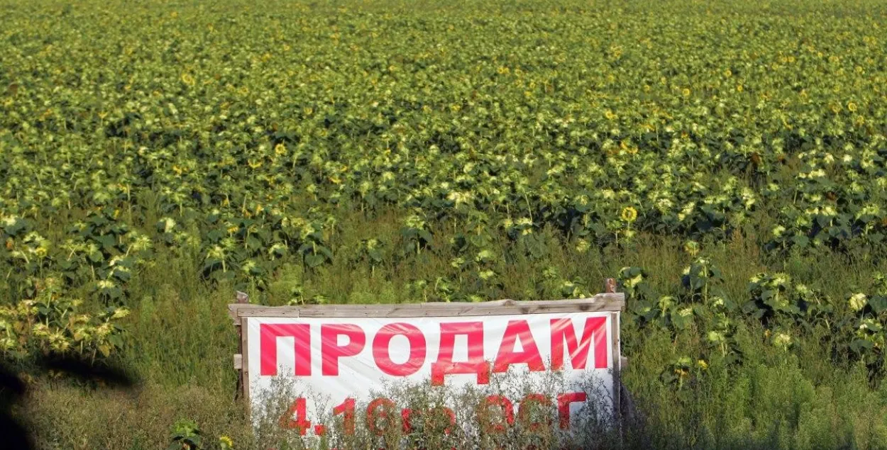 Вярхоўная Рада Украіны ўначы і ў каранцін прыняла закон аб рынку зямлі