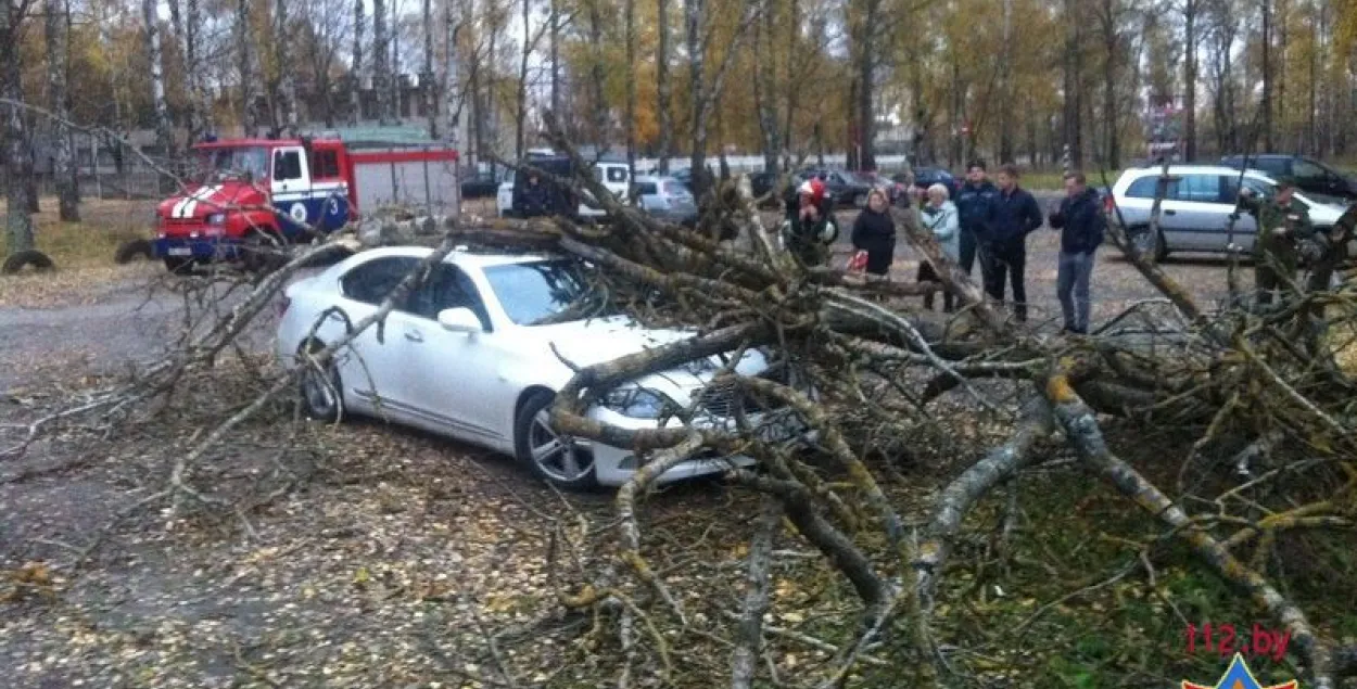 У Брэсце на мужчыну і "Лексус" звалілася дрэва (фота)