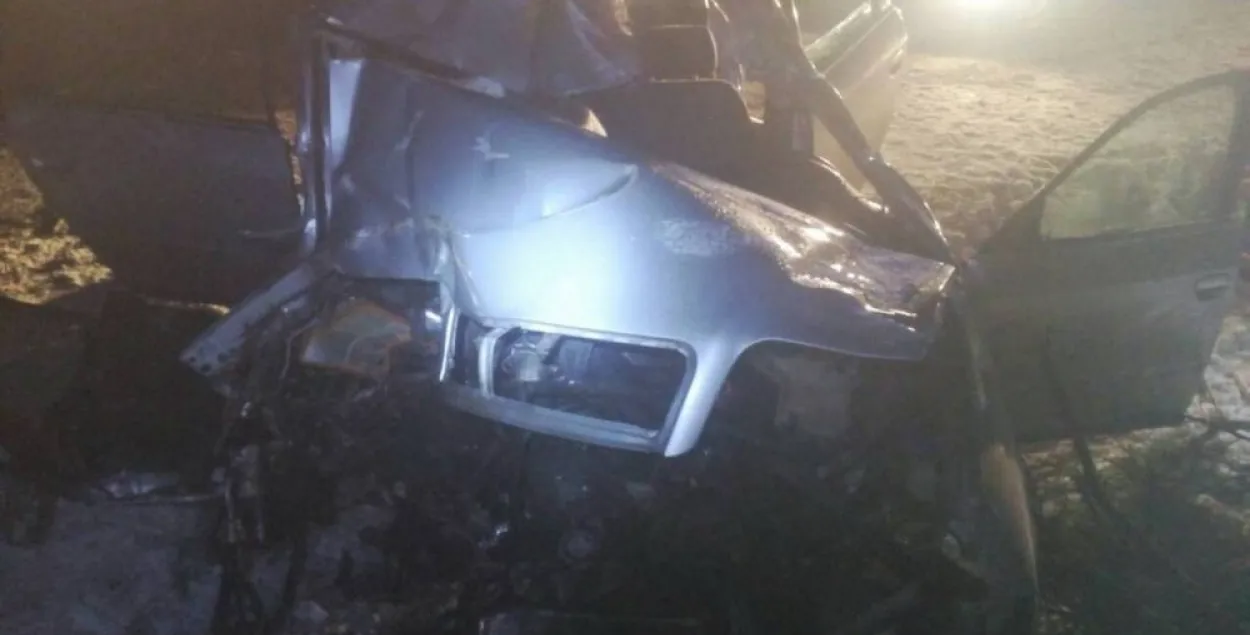 У Мастоўскім раёне лось трапіў пад Audi, загінула 18-гадовая дзяўчына