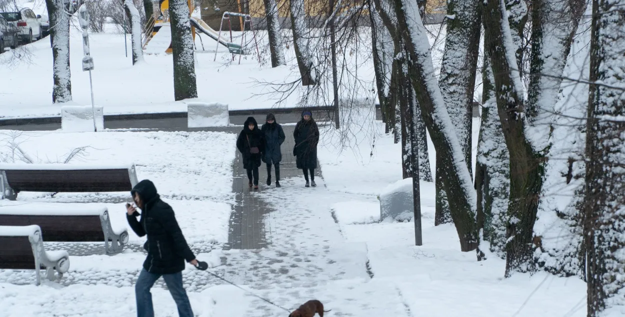 Ветер до 18 м/с и неприятный гололёд: погода в Беларуси 30 декабря