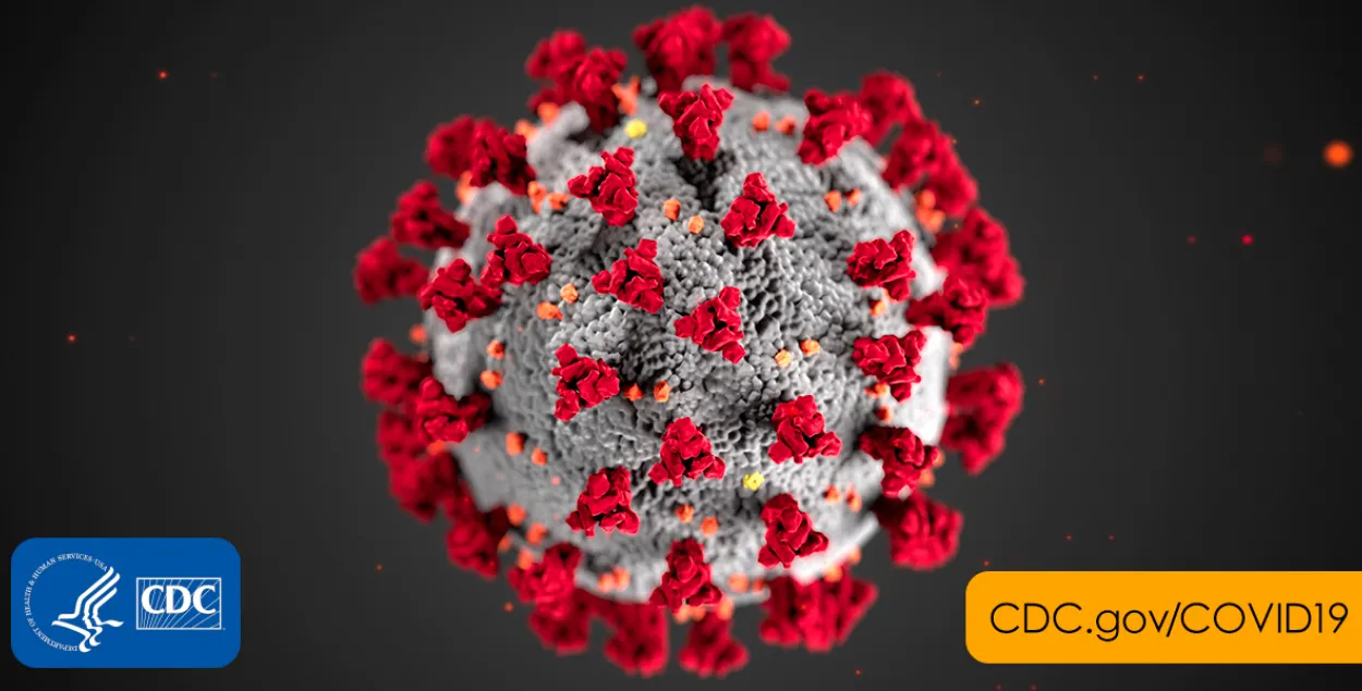 Учёные из США: средний инкубационный период коронавируса — 5,1 дня
