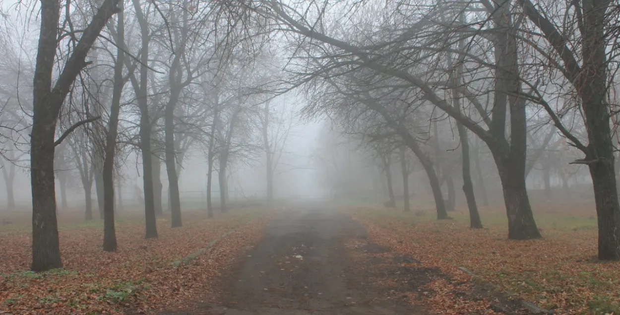 В среду в Беларуси будет 2 градуса тепла, местами туман и гололед