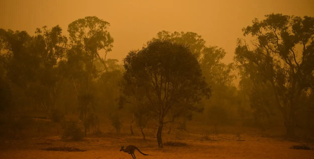 Австралия в огне: причины, фейки и прогнозы