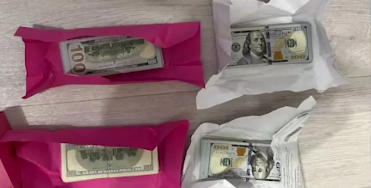 При обыске у девушек нашли 50 тысяч долларов / скриншот из видео&nbsp;@pressmvd
