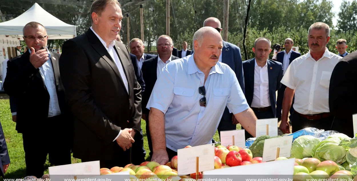 Александр Лукашенко и белорусские яблоки​ / president.gov.by