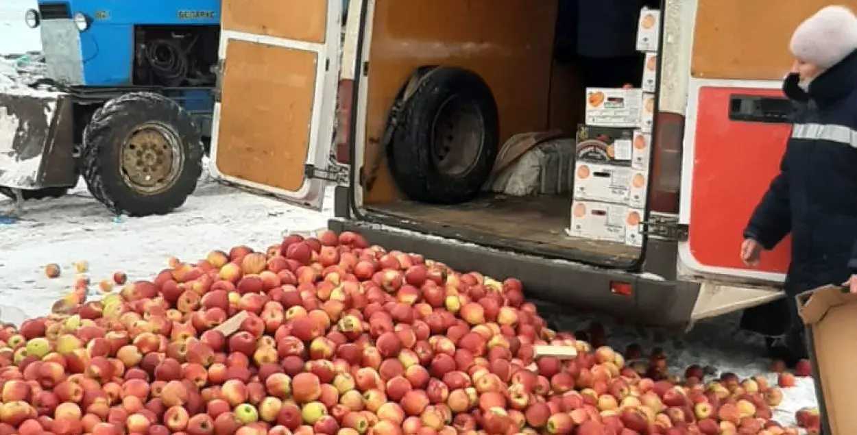 З'явілася відэа, як у Расіі знішчылі 2 тоны яблык, прывезеныя з Беларусі