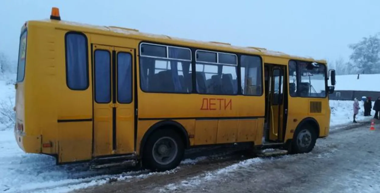 Водитель школьного автобуса под Чашниками насмерть сбил ребенка | Новости  Беларуси | euroradio.fm