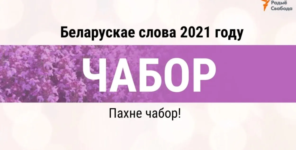 Абранае беларускае слова 2021 года