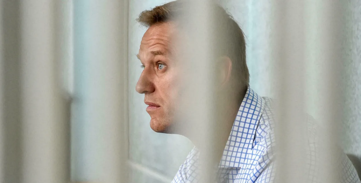 Аляксей Навальны / Vasily MAXIMOV AFP/File​