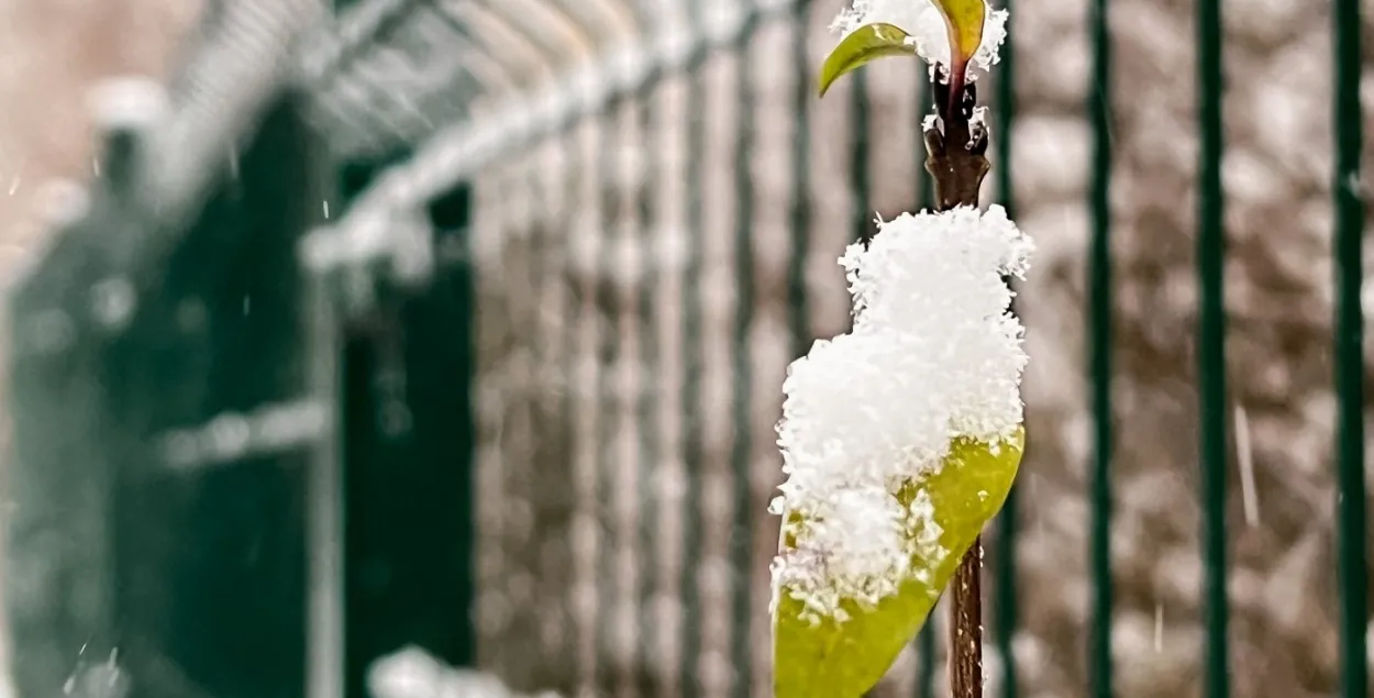 Снег і пахаладанне прагназуюць у Беларусі, ілюстрацыйнае фота
