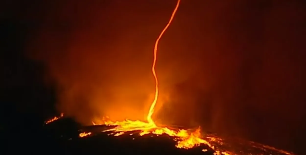 Фото: скриншот с видео