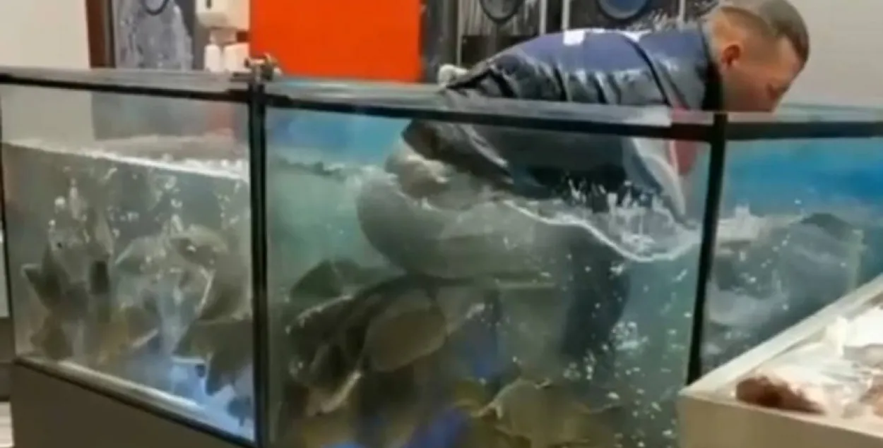 Парень в аквариуме с живой рыбой в магазине / Пресс-служба УВД Гомельского облисполкома​