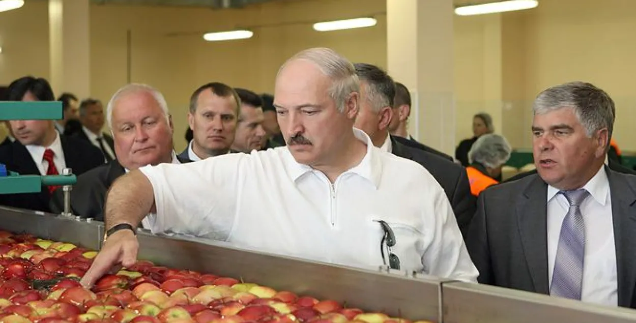 &nbsp;Александр Лукашенко в Александрии. Фото: president.gov.by