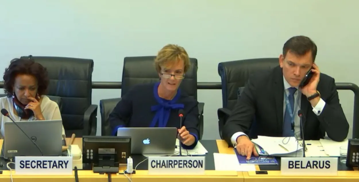 Во время заседания комитета ООН. Скриншот из видеотрансляции.​