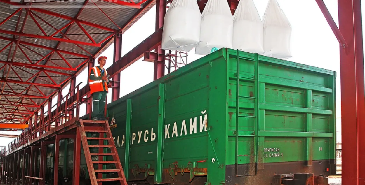  Экспорт белорусских калийных удобрений за полгода сократился вдвое