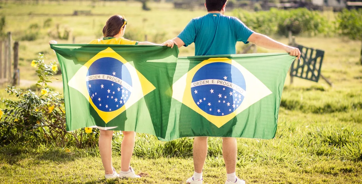В Бразилии думают, как добыть подсанкционные грузы из РБ / pixabay.com