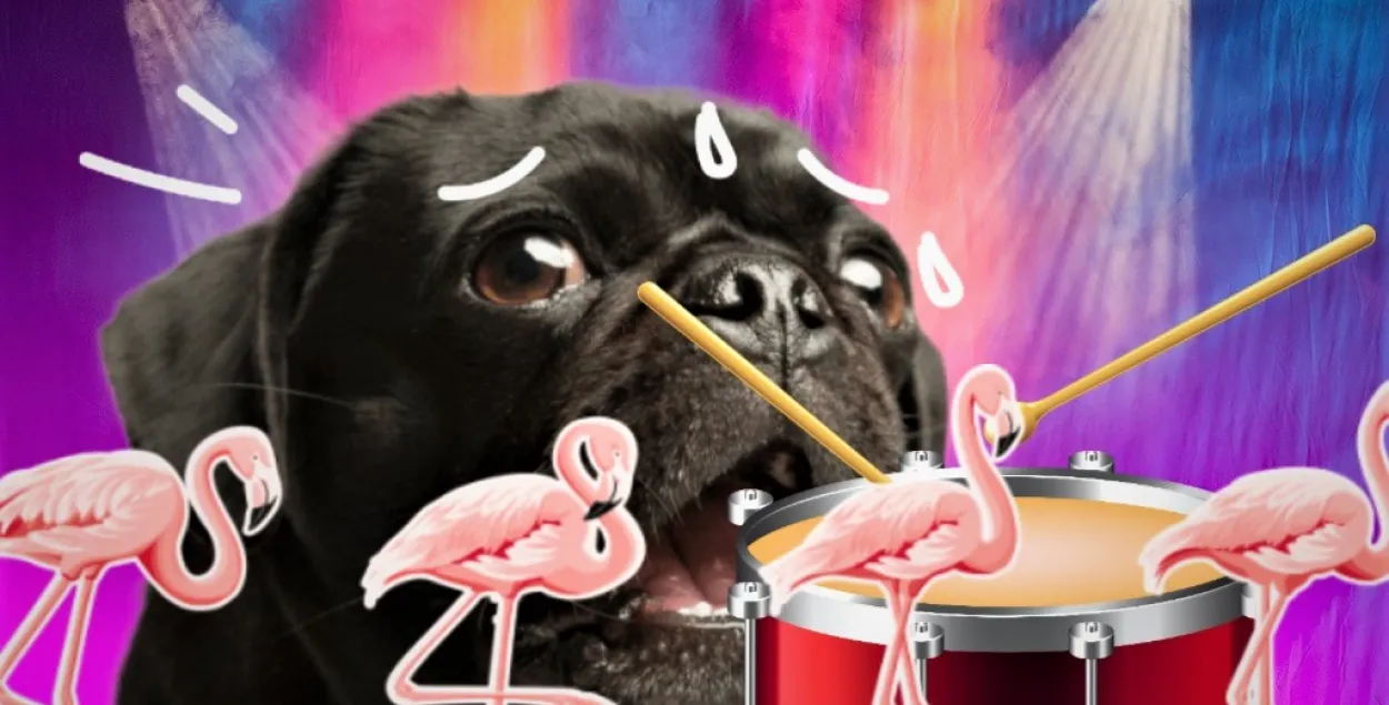 Розовый фламинго, мальчик-барабанщик и блудный пёс Уно: только хорошие новости