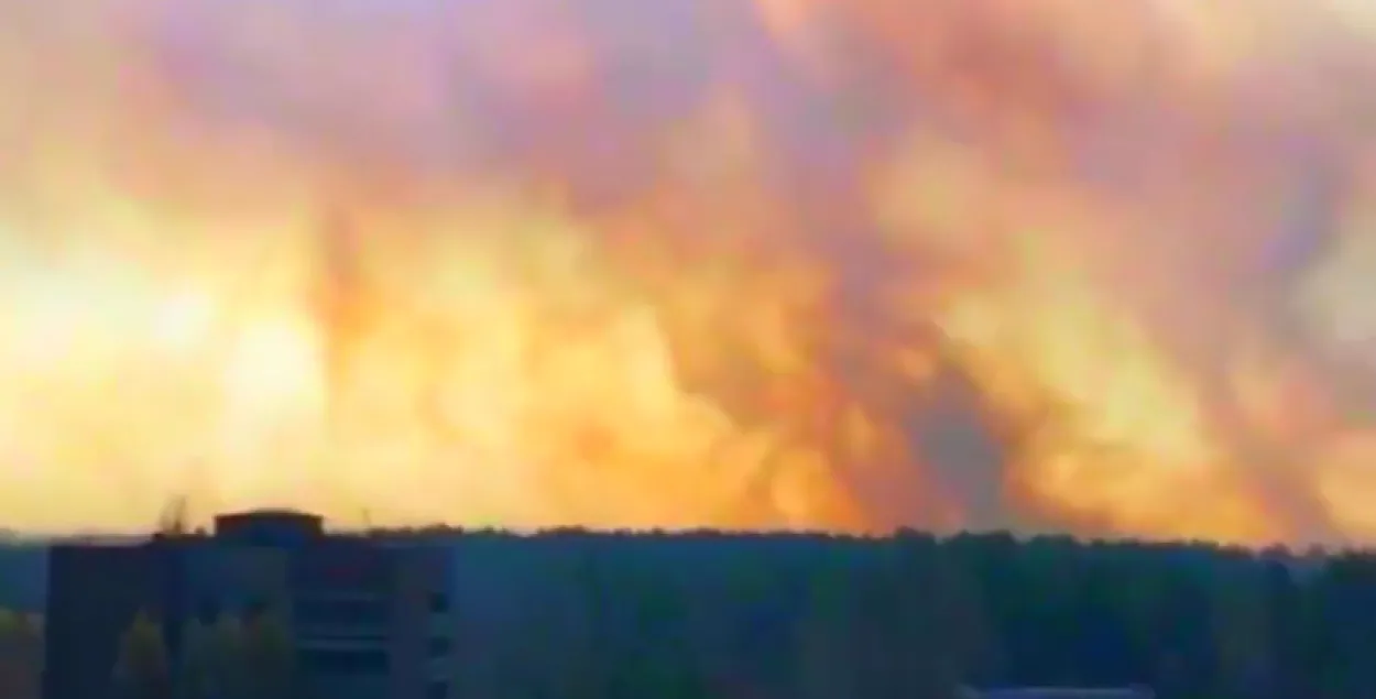 Пожар в Чернобыльской зоне / кадр из видео​