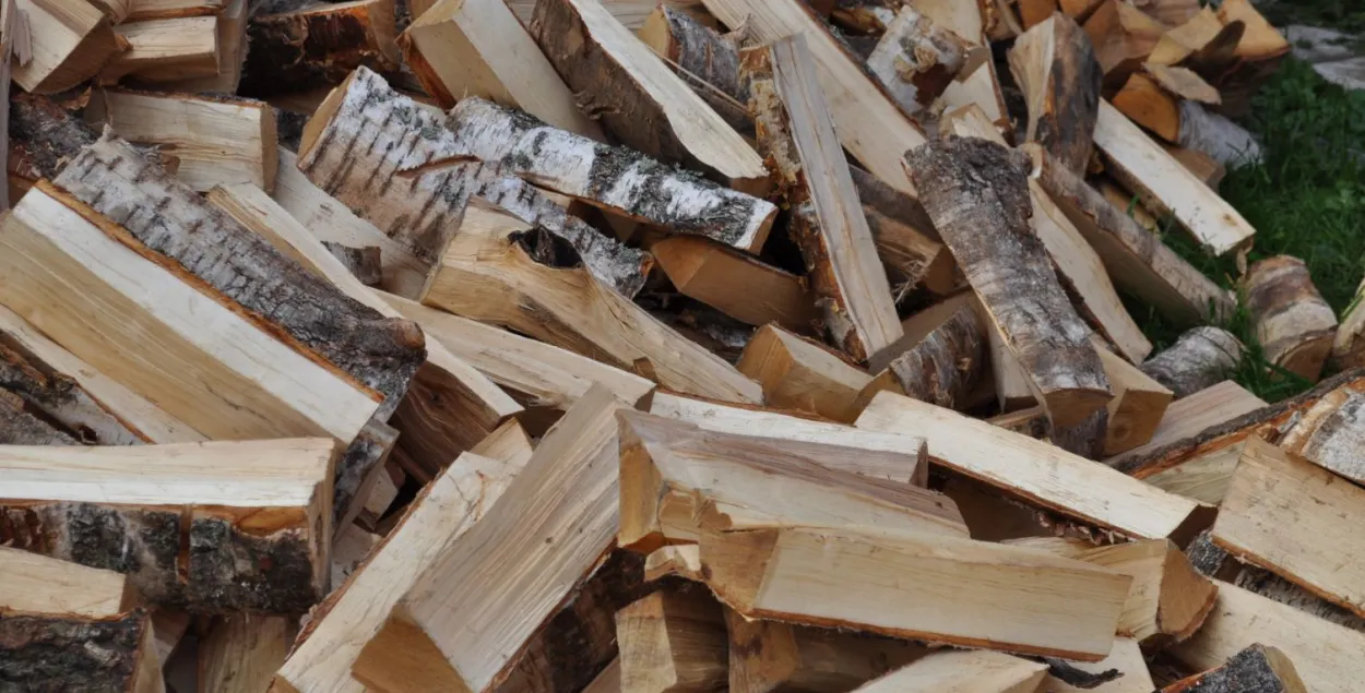 Минлесхоз: очереди за дровами есть только в отдельных регионах Беларуси