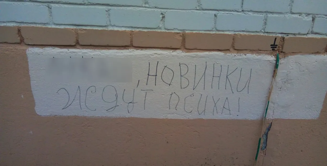 У Лідзе міліцыя затрымала пенсіянерку за надпіс "Навінкі чакаюць псіха!"