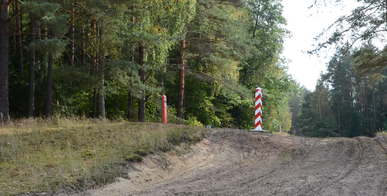 Польские пограничники пресекли 313 незаконных попыток пересечь границу