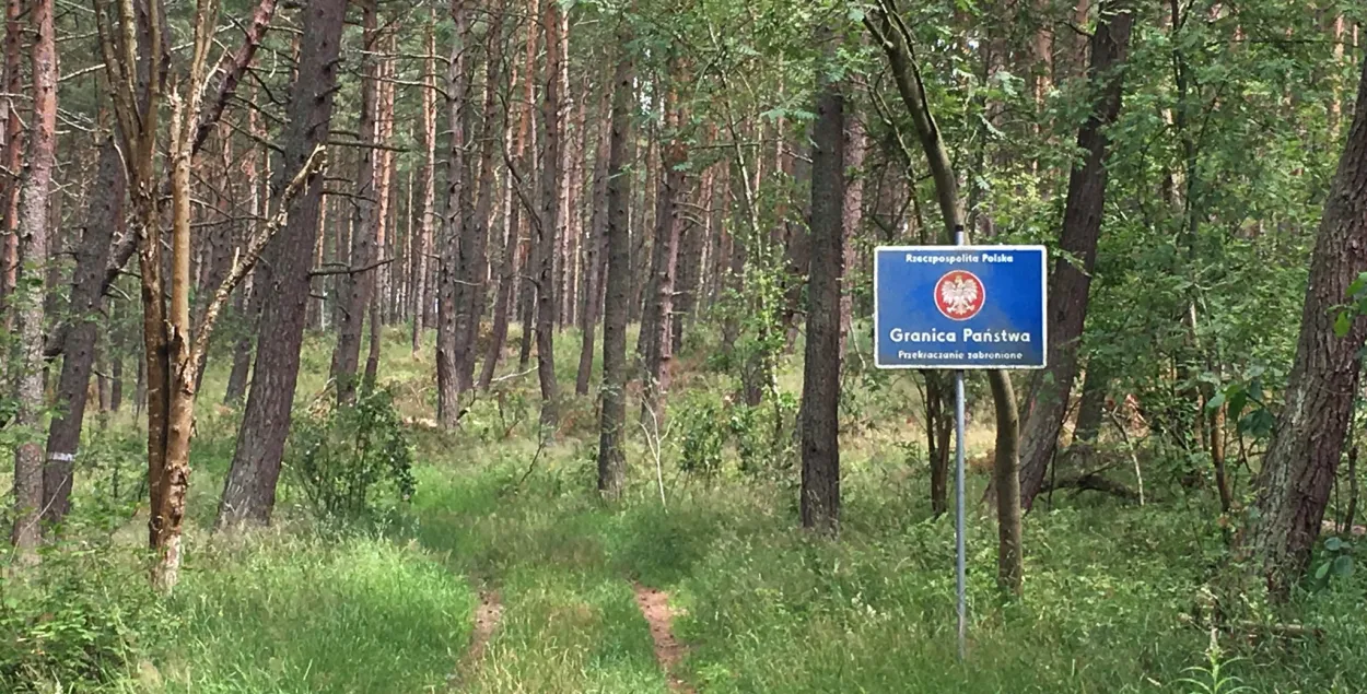 Польские пограничники зафиксировали рекордное число попыток нарушить границу