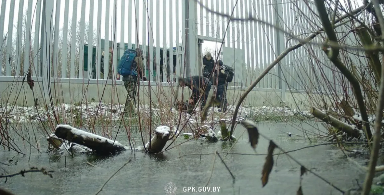 В ГПК РБ говорят, что польские службы периодически вытесняют мигрантов в Беларусь / иллюстративное фото @gpkgovby
