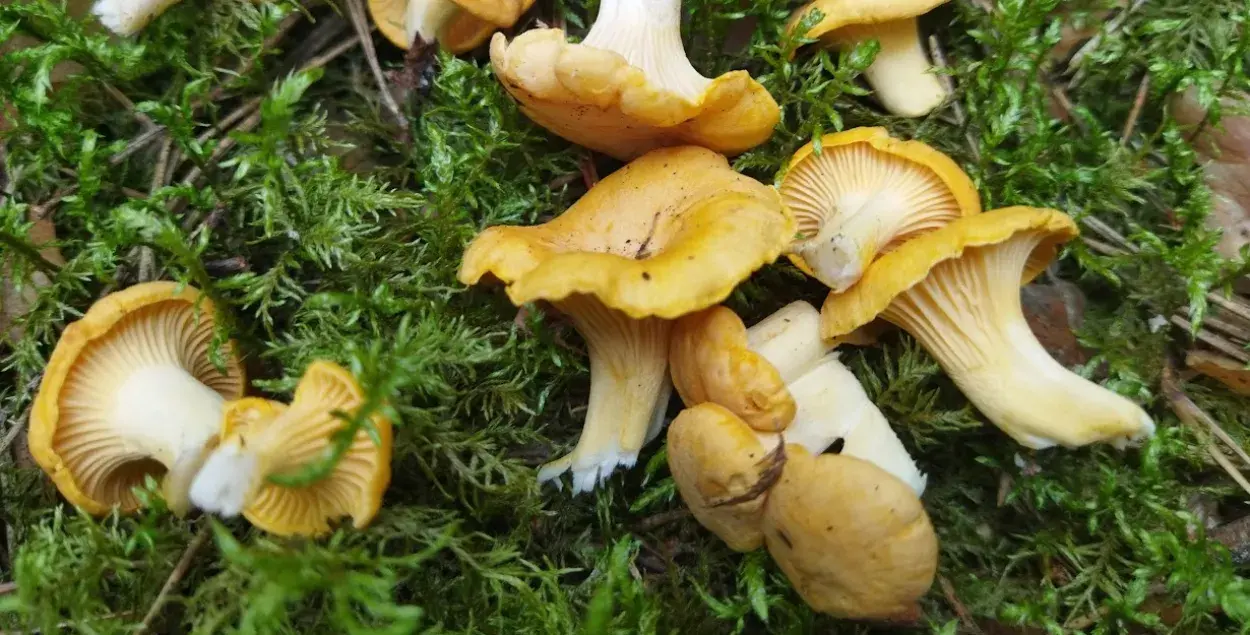 Пройдите наш тест!
