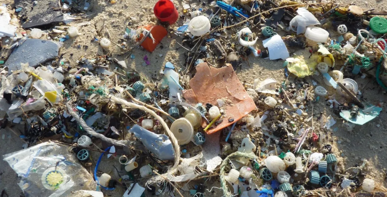 С пляжа собрали 5 тонн пластикового мусора