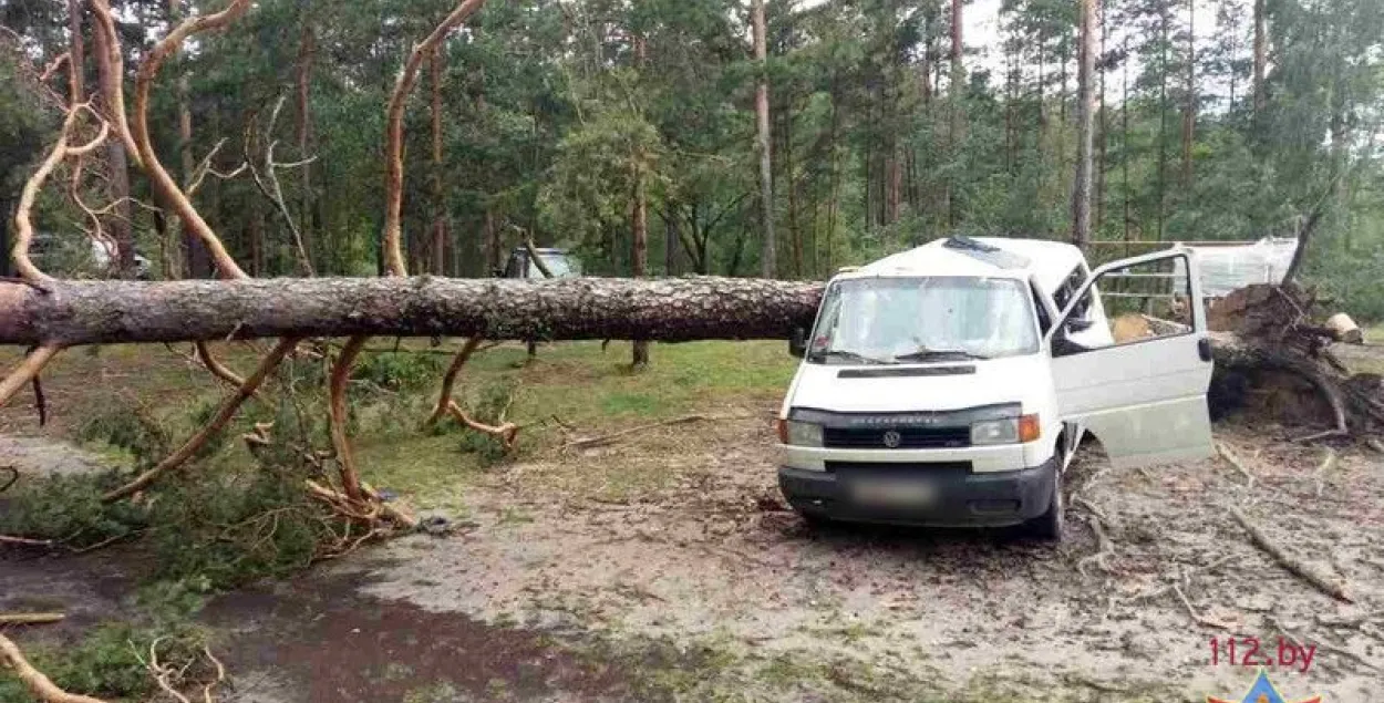 Падрабязнасці трагедыі ў лесе пад Вілейкай, дзе дрэва ўпала на мікрааўтобус