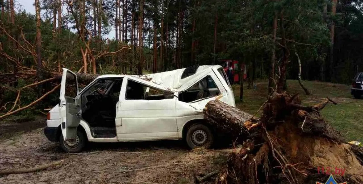 У Вілейскім раёне на мікрааўтобус упала дрэва, загінула дзіця