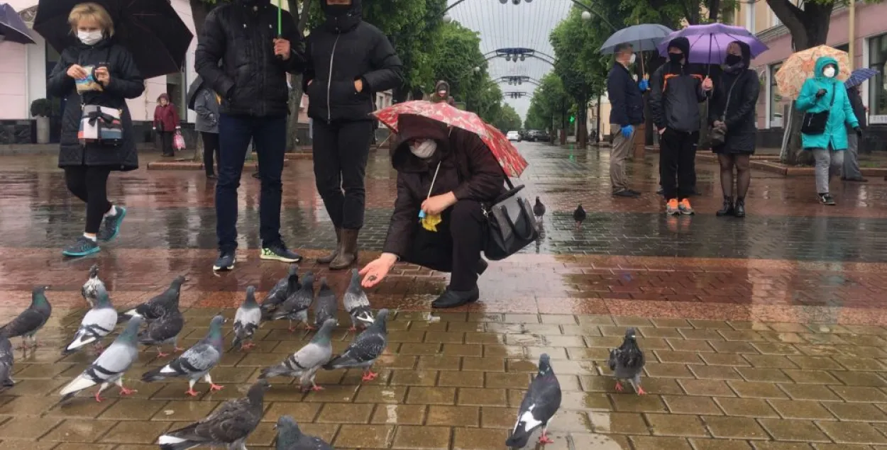 "Нет заводу АКБ": в Бресте "кормили голубей" под дождём 