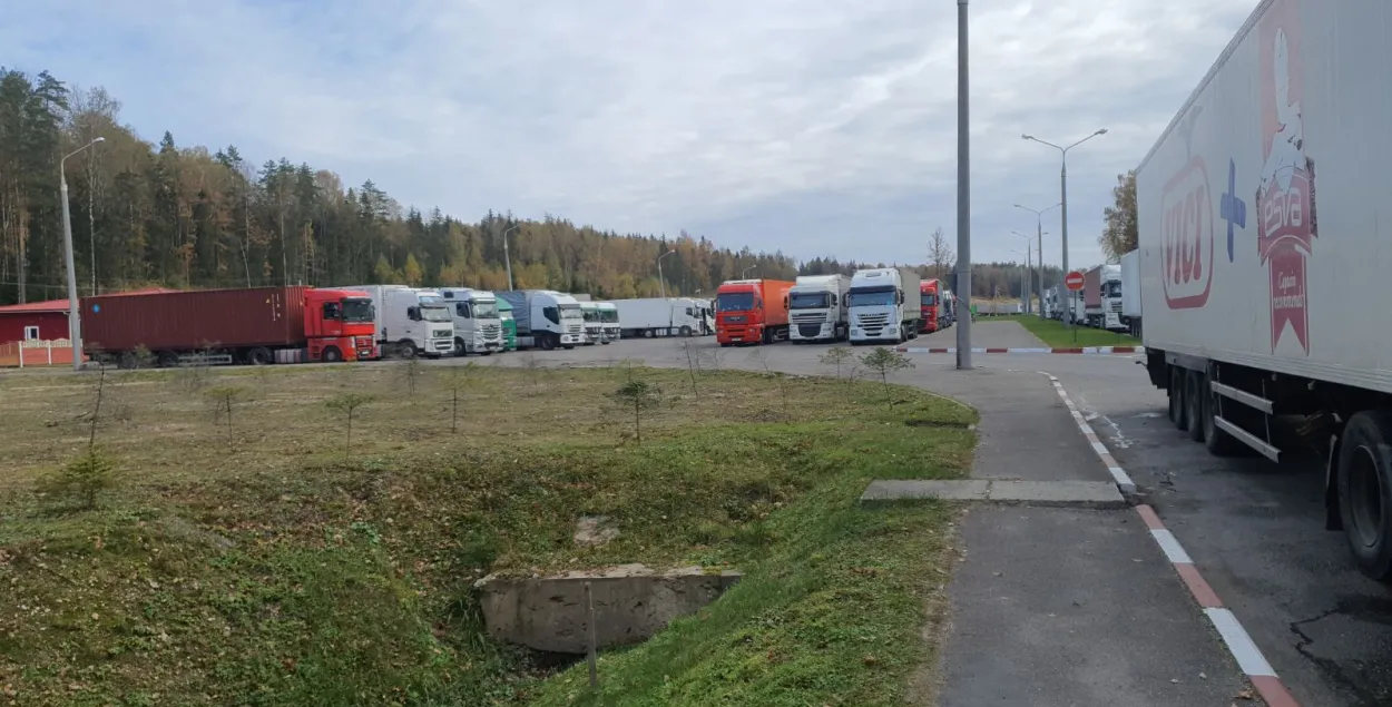 Более 2,4 тысячи фур стоит на границе Беларуси с Евросоюзом