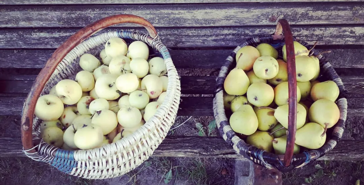 МАРТ обязал магазины продавать больше белорусских яблок