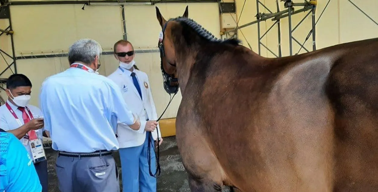 Лошадь Карло Гранде сняли с соревнований ветеринары Олимпиады / пресс-служба Минспорта