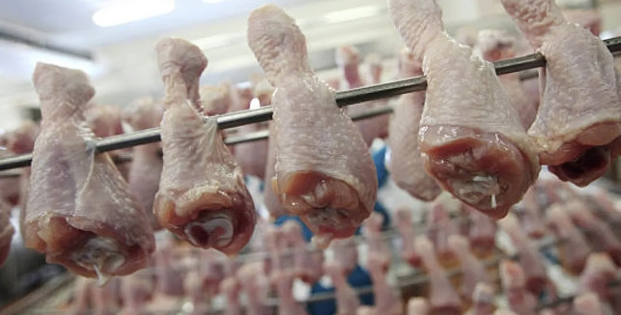 Мінсельгасхарч: Курынае мяса з перавышэннем фіпранілу ў Беларусь трапіць не можа