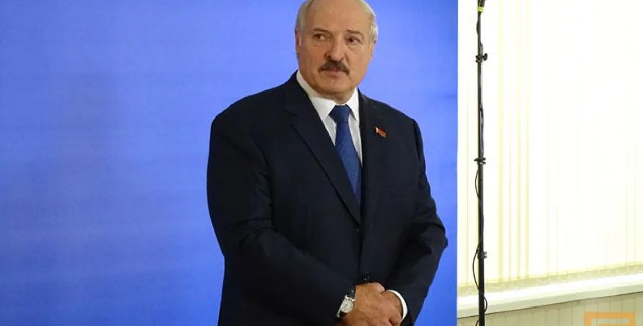 ЦВК: У Брэсцкай вобласці Аляксандр Лукашэнка набраў 86,27%