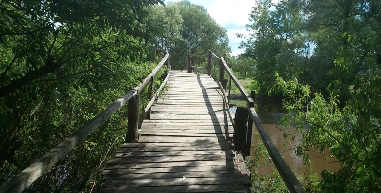 У Лунінецкім раёне жанчына кінулася з моста ў раку і патанула