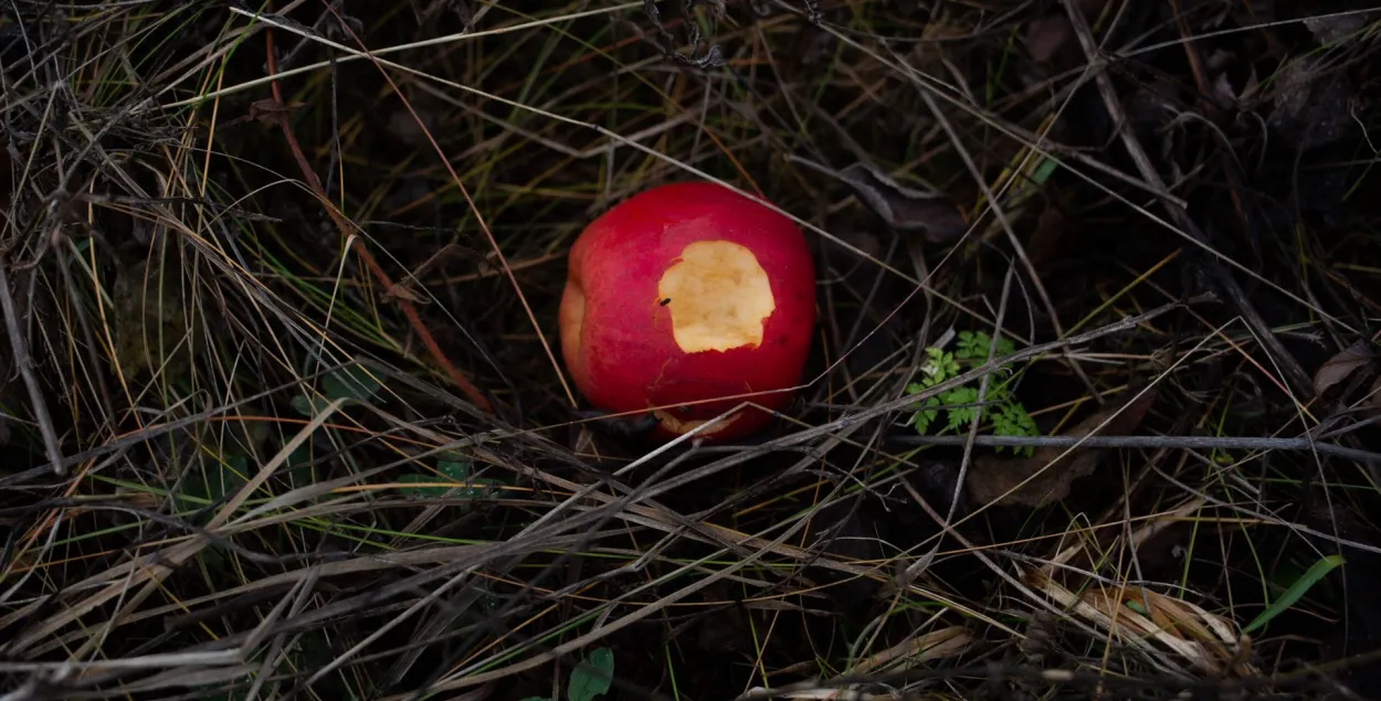Там, где на могилах растут яблони: истории времён Голодомора