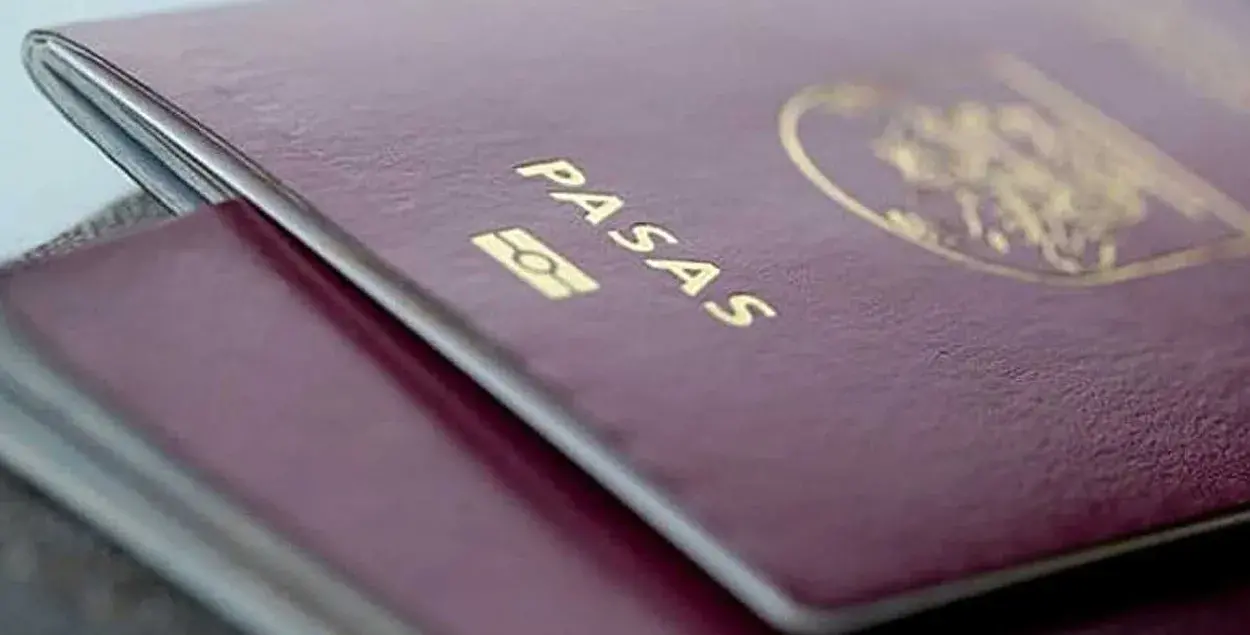 Литовский паспорт / pixabay.com
