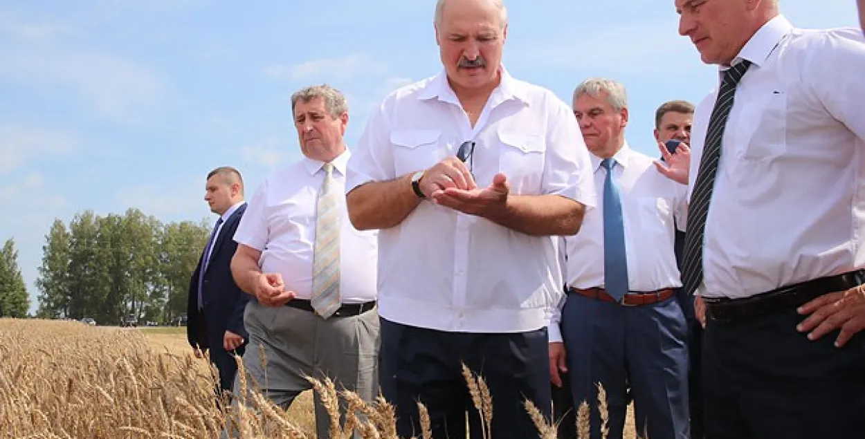 Лукашэнка: Віцебшчына будзе целяпацца, боўтацца ва ўласным соку дзесяцігоддзі