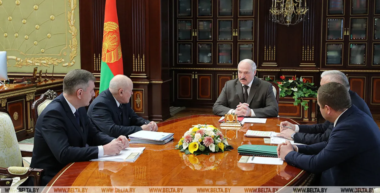 Совещание у Александра Лукашенко насчёт&nbsp;указа по лесному хозяйству / БЕЛТА​