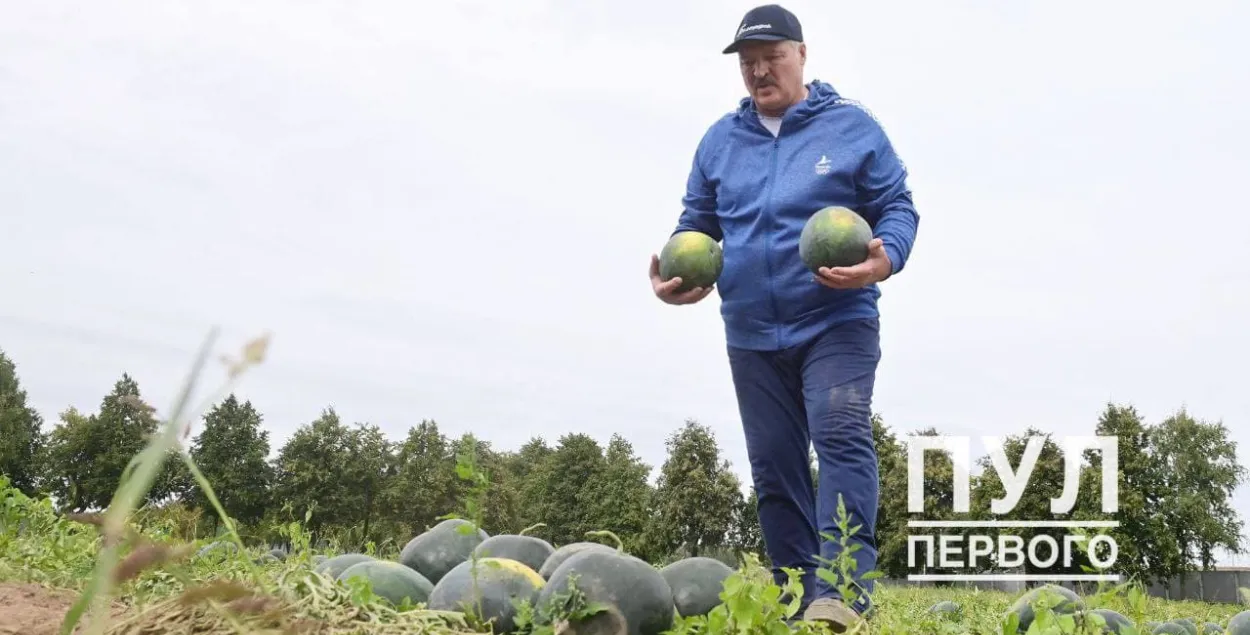 Лукашенко снова собирал арбузы в обществе красивых девушек