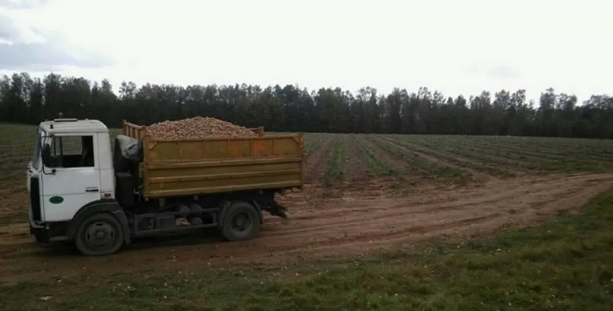 За смерць школьніцы пад Маладзечнам пачалі крымінальныя справы на двух педагогаў