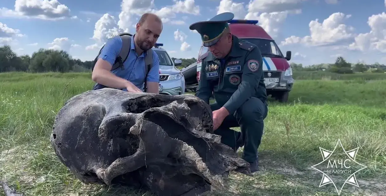 Rescuers pull mammoth remains from river in Homiel region - Vimarsana News