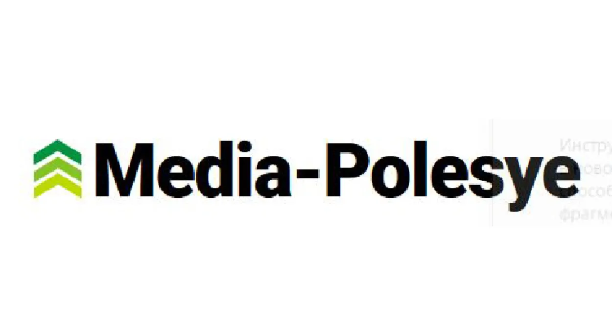 Сайт media-polesye.bу заблокировали за материалы о послевыборной ситуации
