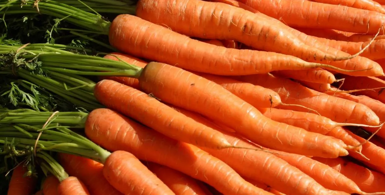 “Россельгаснагляд” забараніў увоз 19,2 тоны беларускай морквы