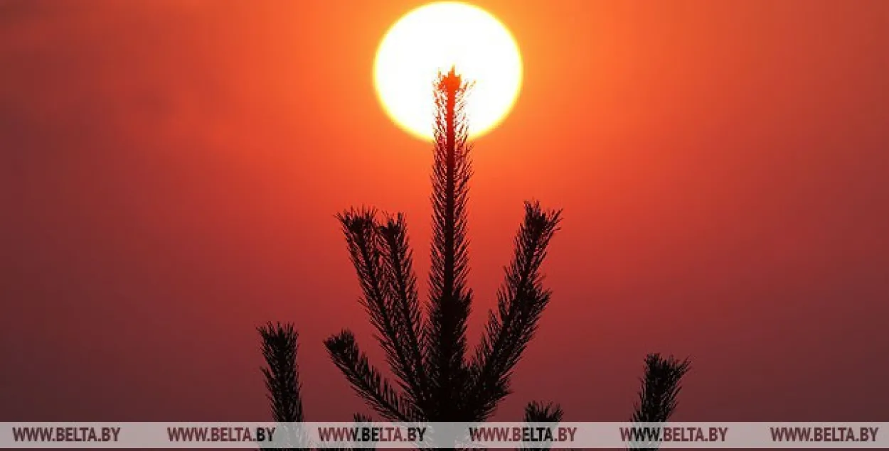 Уначы 13 красавіка ў Беларусі чакаецца да 4 градусаў марозу