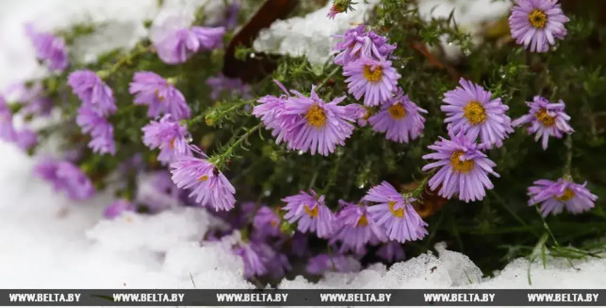 У сераду па паўднёвым усходзе Беларусі чакаецца снег