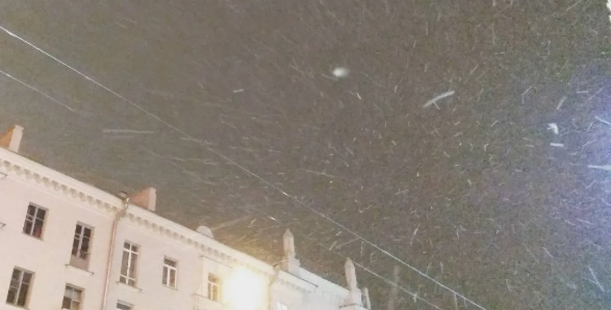 Первый снег добрался до Минска (фото)
